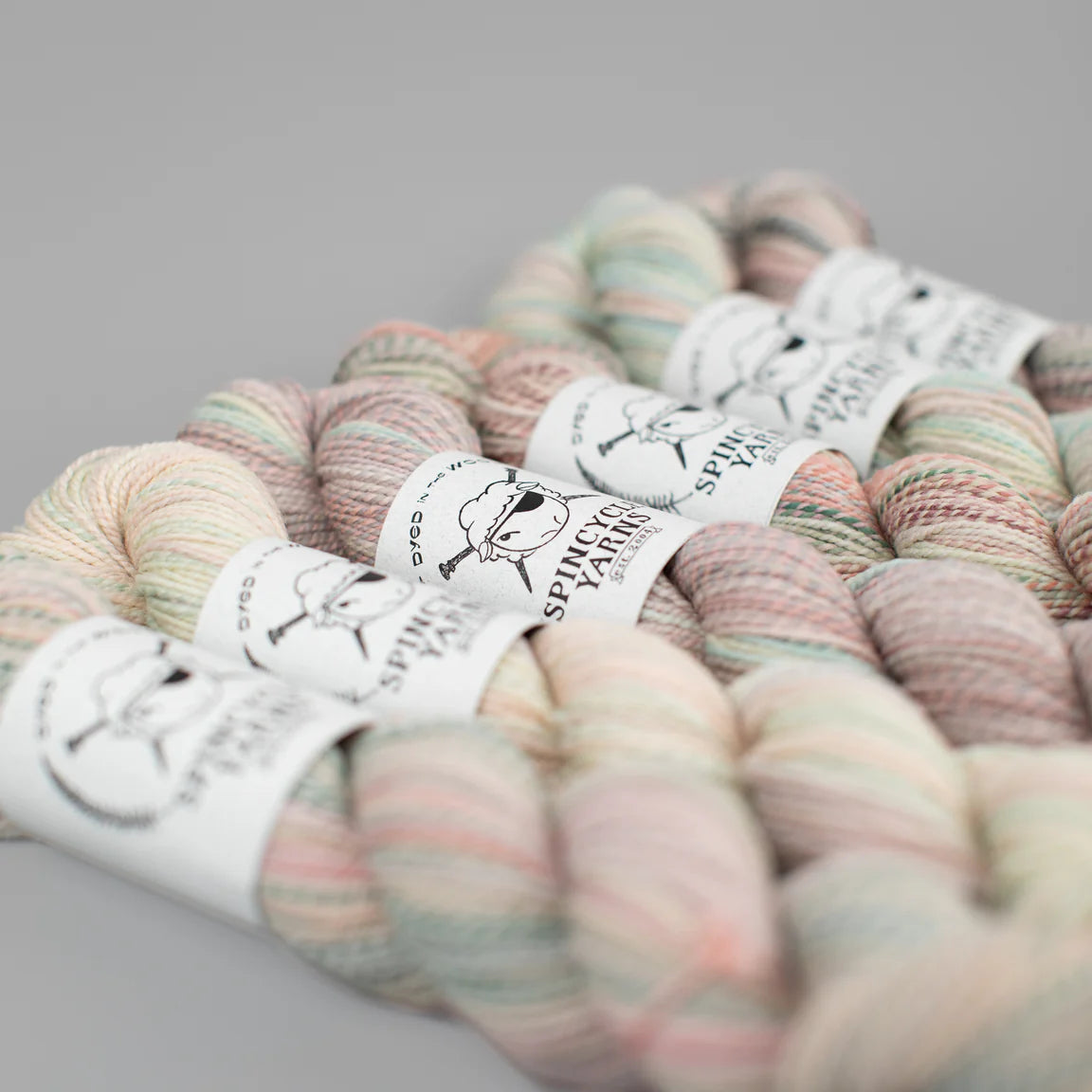 Spincycle - Dyed In The Wool