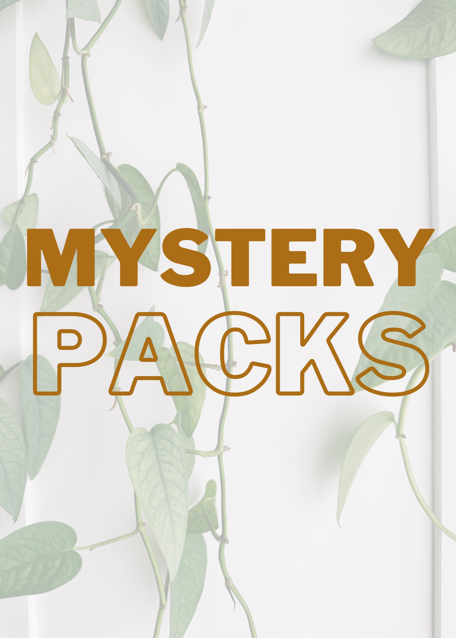 MYSTERY PACKS