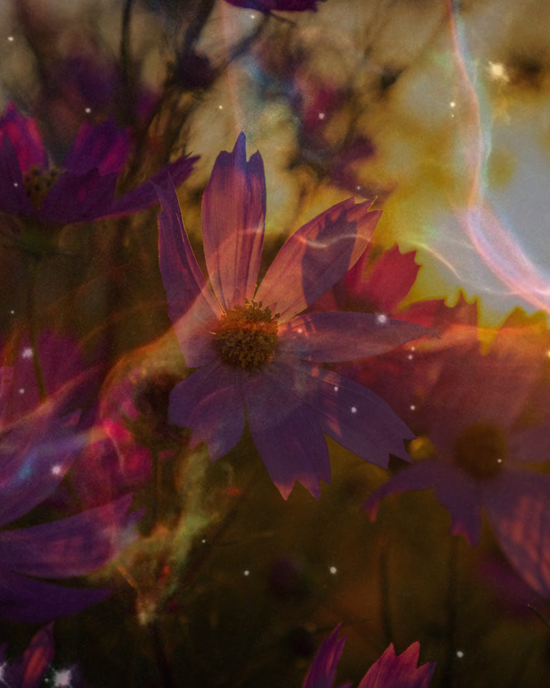 "Cosmos in the Cosmos" - i need some space PREORDER: 6-8 week turnaround