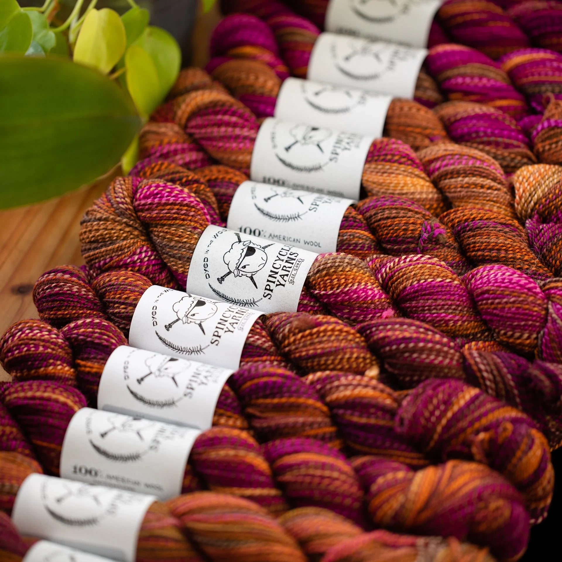 Spincycle - Dyed In The Wool