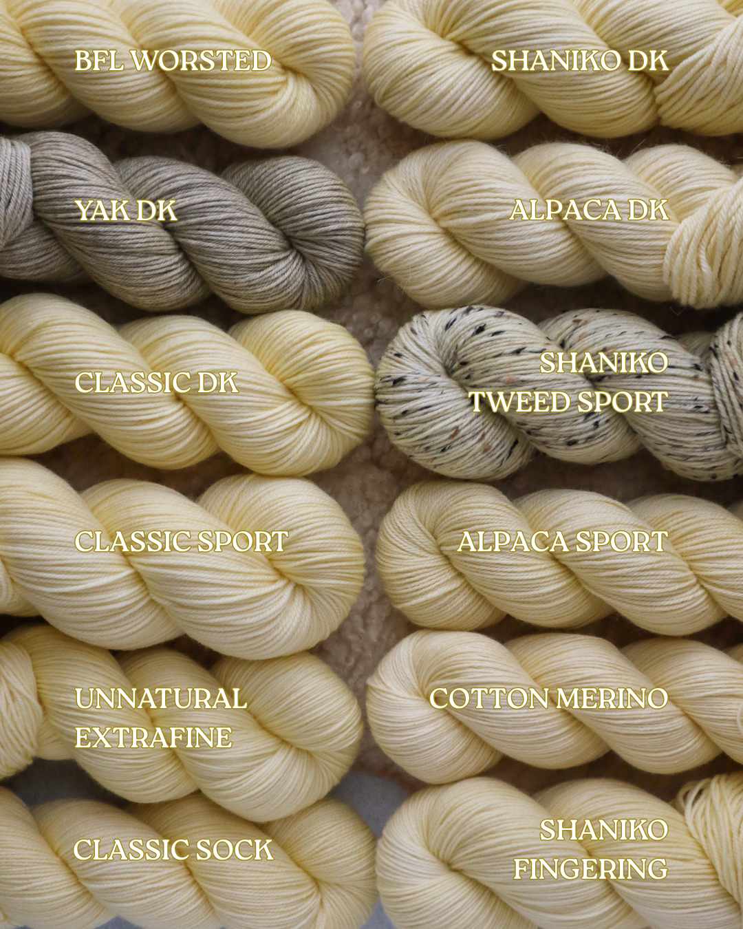 "English Daisy" - Joy Tones PREORDER - 6-8 week turnaround