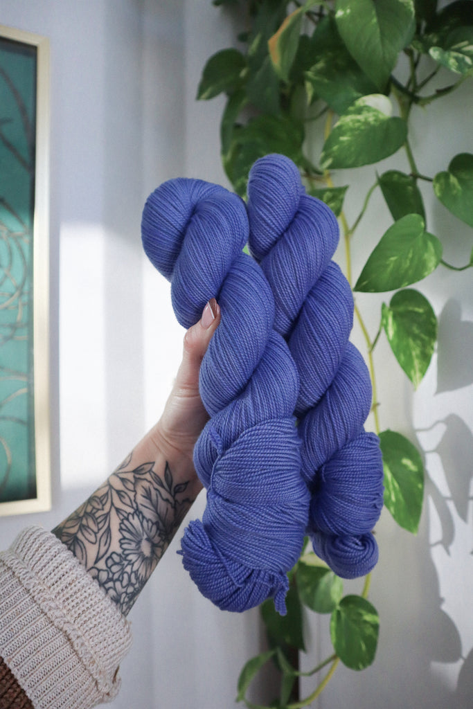 "Butterfly Pea"