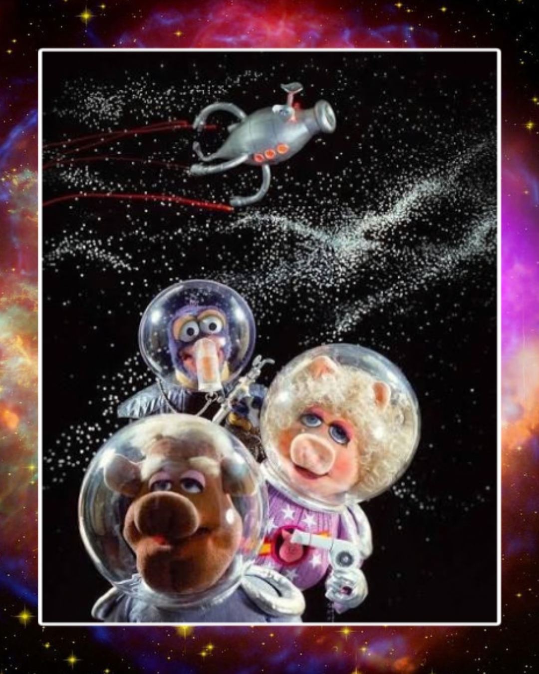 "First Mate Piggy" - i need some space PREORDER: 6-8 week turnaround