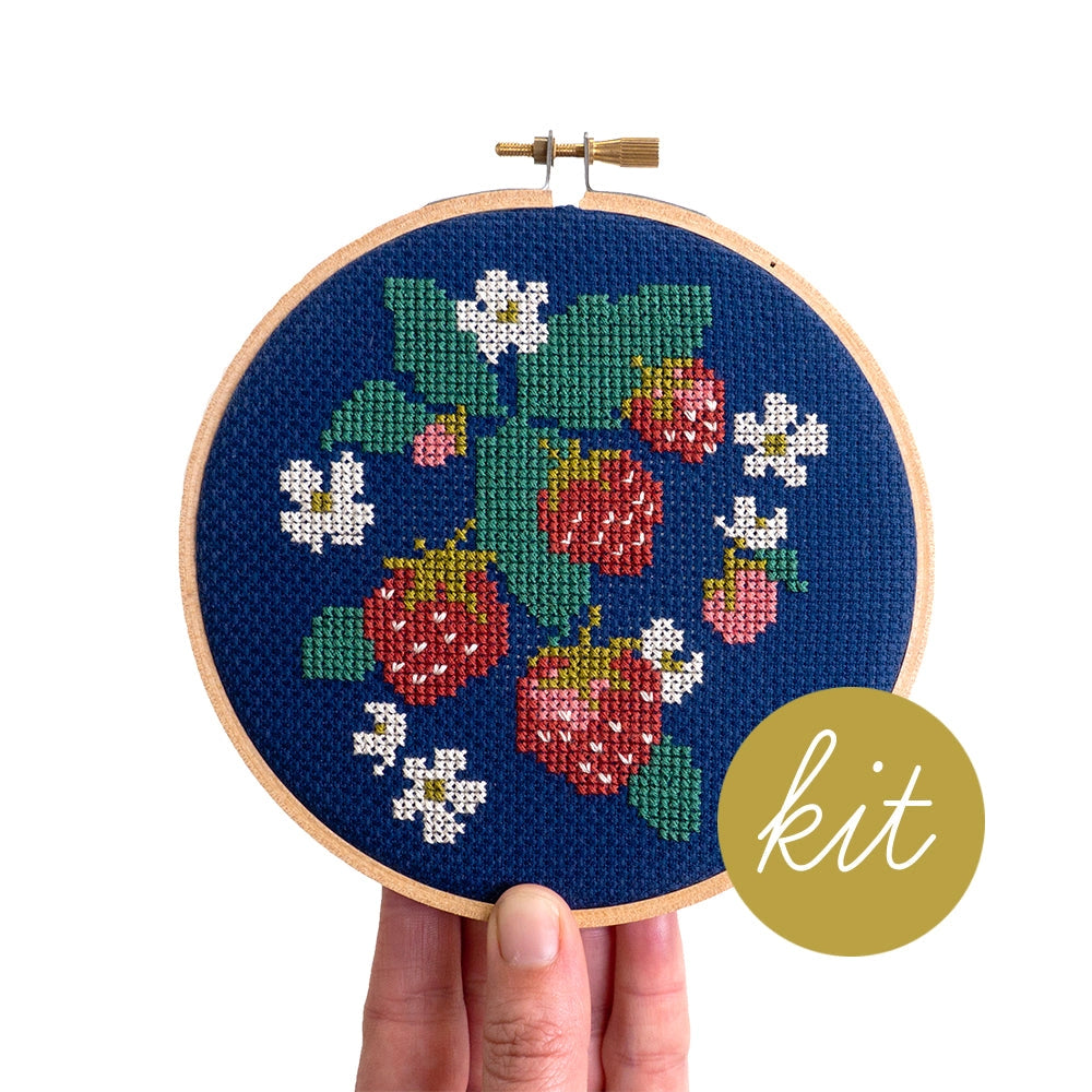 Junebug and Darlin Embroidery Kits