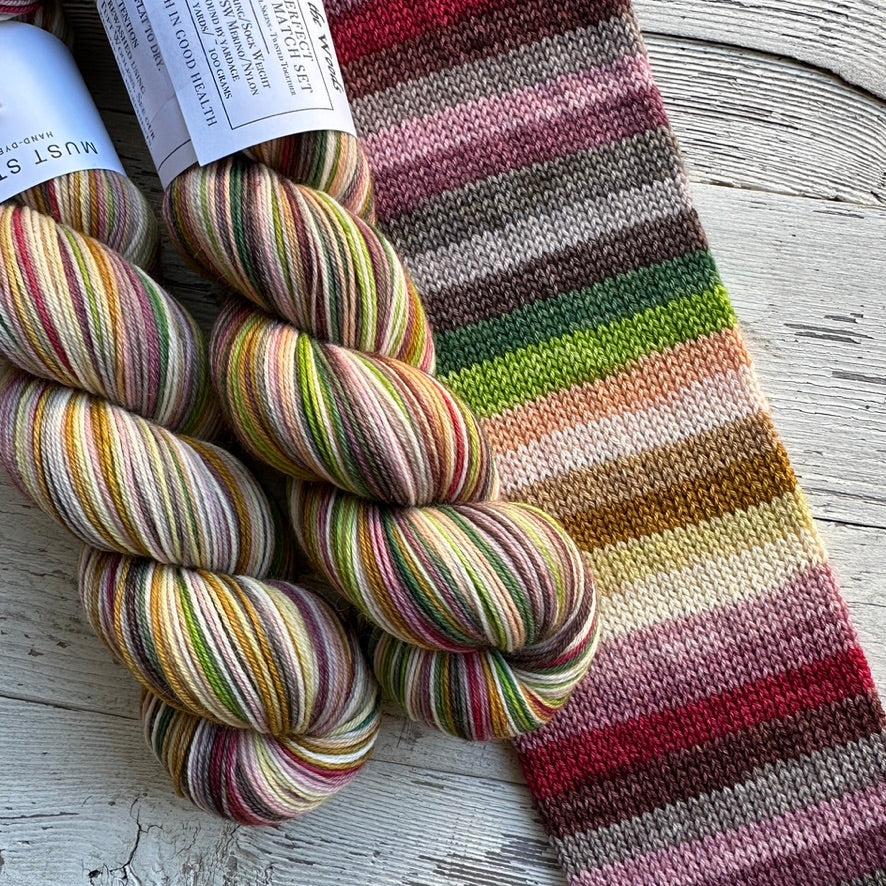 Must Stash Perfect Must Match Sock - Self Striping Yarn